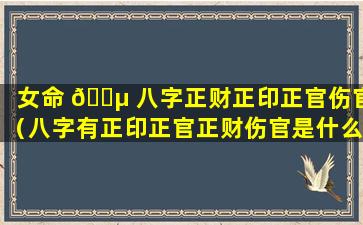 女命 🌵 八字正财正印正官伤官（八字有正印正官正财伤官是什么意思）